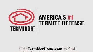 Every Minute - Temidor® Termiticide