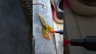 Do THIS to catch MORE Fish 