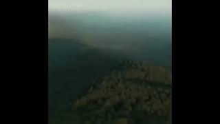 Аюб Вахаевич