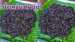 นึ่งข้าวเหนียวดำนุ่มๆ |แค่เลchannel