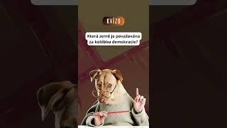 Kvízo - každý den nový kvíz (12)