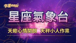 【命運好好玩】2024/12/24星座運勢 - 天蠍心情開朗 天秤小人作祟