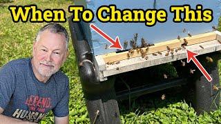 Beekeeping | 4 Crucial Times to Change Your Hive Entrance