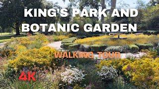 Kings Park and Botanic Garden #perth #garden #park #walkingtour #nature #australia #travel #city