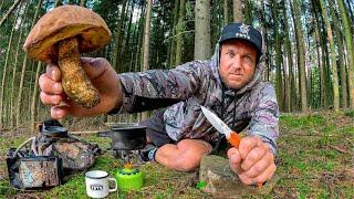 2 Days Alone In a Forest - EATING ONLY WHAT I FIND - Fishing & Foraging For Food