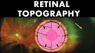 Retinal Topography | Anatomy of Peripheral Retina