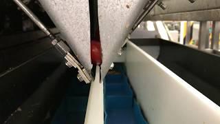 Weighing, filling and packing of cherry tomatoes in three compartment punnets