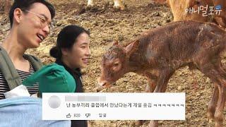 [풀버전] 소 100마리에 논 3000평?! 소 키우면서 사는 98년생 동갑부부 ｜동갑내기 영농일기｜KBS 인간극장 방송