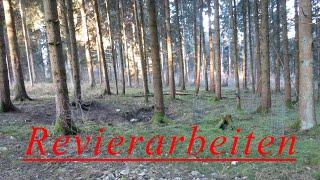 Revierarbeiten an einer Waldkanzel mit Suhle (Revieralltag)