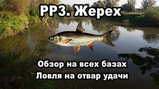 Русская Рыбалка 3. Жерех. Обзор на всех базах. Ловля на отвар удачи.