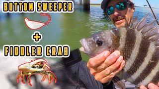 Catching Sheepshead with Bottom Sweeper Jigs! (And Fiddler Crabs)