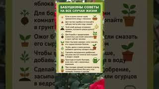  ПОЛЕЗНЫЕ СОВЕТЫ НА КАЖДЫЙ ДЕНЬ