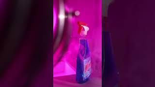 Windex + Romance 