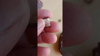 The Secret to Finding Gold (That Nobody Else Tells You)