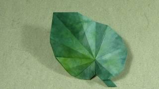 Origami Instructions: Begonia Leaf (Peter Engel)