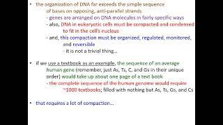 Molecular Genetics, Part 1