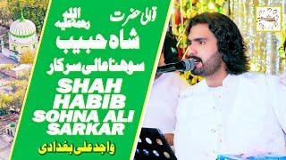 Qawali Shah Habib Sohna Ali Sarkar Wajid Ali Baghdadi | Islamic Kalam 2024 | Baghdadi Music