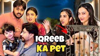 Iqreeb Ka Dog Chori krlia  | Mama ney Ghr say nikal Dia ?  | Rabia Faisal | Sistrology