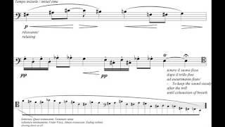 Ugo Raimondi - Le Voci Nella Mia Mente for Bassoon (2014) [Score-Video]