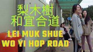 [ 4K ] HongKong STREETS 홍콩 梨木樹 和宜合道 現況如何？東張西望 LEI MUK SHUE WO YI HOP ROAD WALKING TOUR November.2024