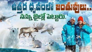 Naa anveshana arctic journey polar animals part 2