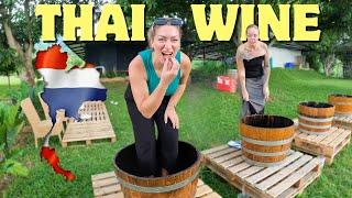 Best thing we did in HUA HIN THAILAND  (Monsoon Valley Vineyard)