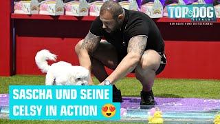 Wiedersehen mit dem süßen Duo  | Top Dog Germany 2024