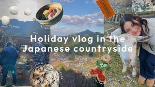 Holiday Vlog in the Japanese Countryside | Christmas with friends and New Year's traditions