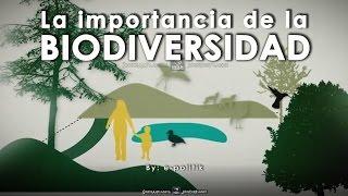 La importancia de la Biodiversidad