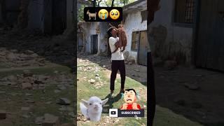 -Chhota bezuban -#bezuban #couple #sad #salmankhan #love #bakra #shortsfeed #viral #youtube
