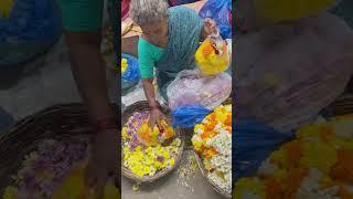 Рабочие моменты обычной индийской жизни  #Путтапарти #India февраль 2025 #Индия #Зимовье в тепле