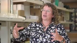 In the lab with an orchid scientist, Smithsonian Environmental Research Center: Melissa McCormick