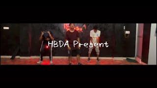 Rihana || Rude Boy Remix || HBDA Dance Choreography