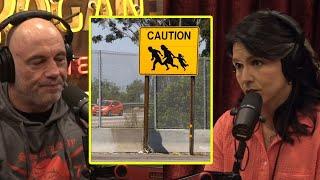 The Sad State Of San Diego | Joe Rogan & Tulsi Gabbard