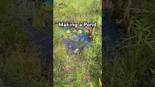 Making a Pond 🪷 #ponds #pond #fishpond #fishponds #fishpondgarden