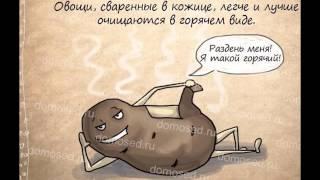 Полезные советы на все случаи жизни-Helpful tips for all occasions