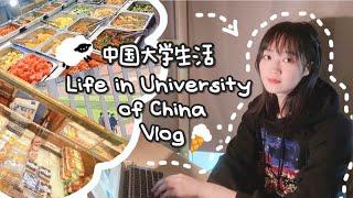 【 University Life Vlog】A leisurely morning️/China Mainland/Cafeteria Visit/Graduate Student