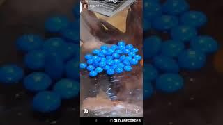 BluesDank on KingAnii's Story