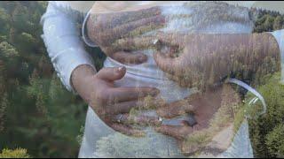 Yaroslav and Liana | Wedding clip
