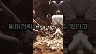 "고대 로마의 지하 도시" #흥미로운 #역사 #고대유적 #고대 #문명