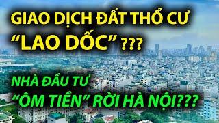 GIAO DỊCH ĐẤT THỔ CƯ "LAO DỐC" nhà đầu tư có rời Hà Nội ???