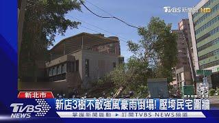 新店3樹不敵強風豪雨倒塌! 壓垮民宅圍牆｜TVBS新聞