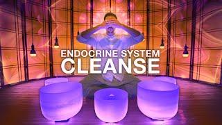 Complete Hormone Balancing Sound Bath |  Full Body Endocrine Cleanse for The Major Glands & Chakras