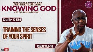 Training The Senses of Your Spirit - Daily Devotional