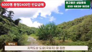 경매직전 6000평 완벽한땅 너무        급해 몽땅2400만 급매매 가격절충