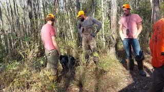 BEAR CAMP Day 1 Going after Damien (700+lb Black Bear) with a $15,000 Bluetick #bearhunting