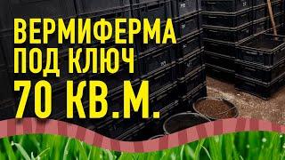 Вермиферма 70 кв.м.  Обзор вермифермы под ключ.