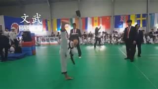 KICKS. The Korea Hapkido Federation