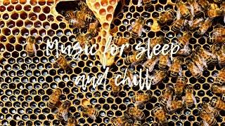 Sounds of bees in a hive: Sleep Music, Meditation Sound, Relax Time - Звуки природы: пчелы в улье