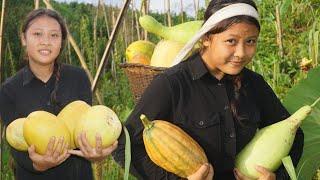 Plenty organic vegetables||Chigrim Sangma